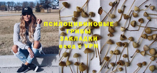 PSILOCYBIN Пересвет