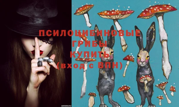 экстази Алексин